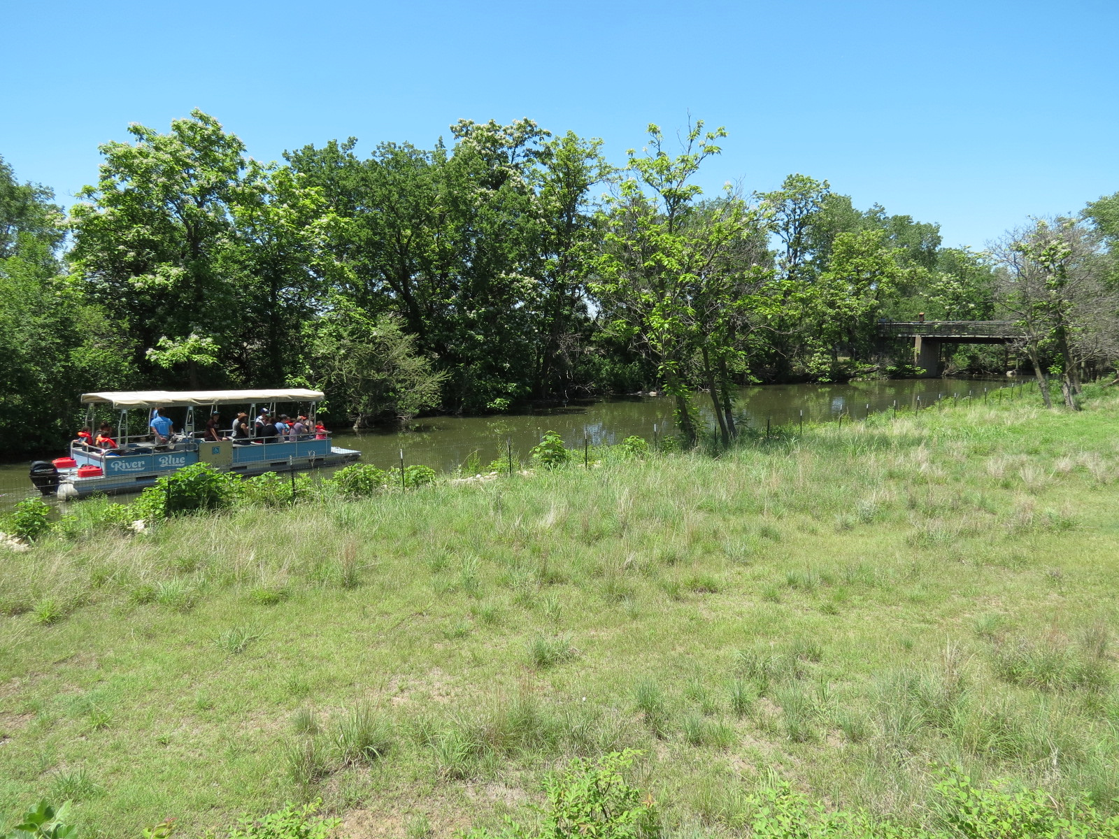 North America - Pronghorn Exhibit