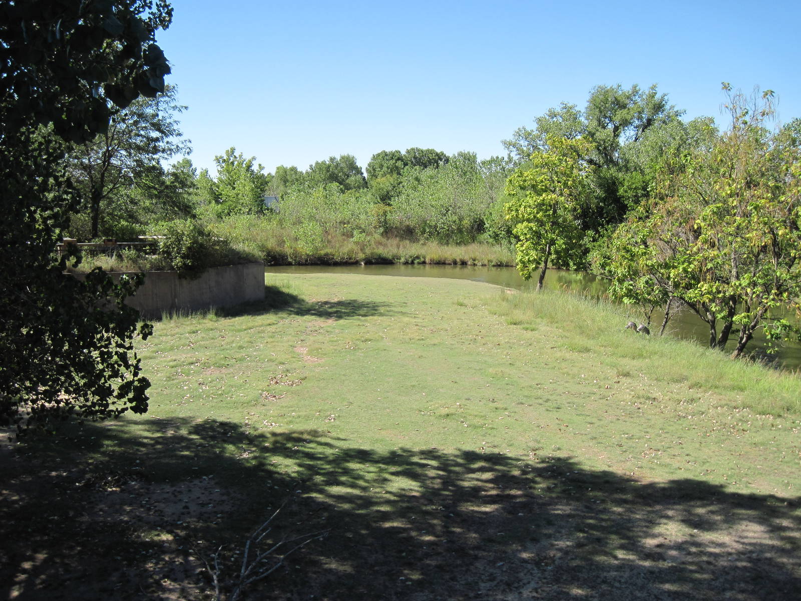 North America-Pronghorn/Sandhill Crane Exhibit
