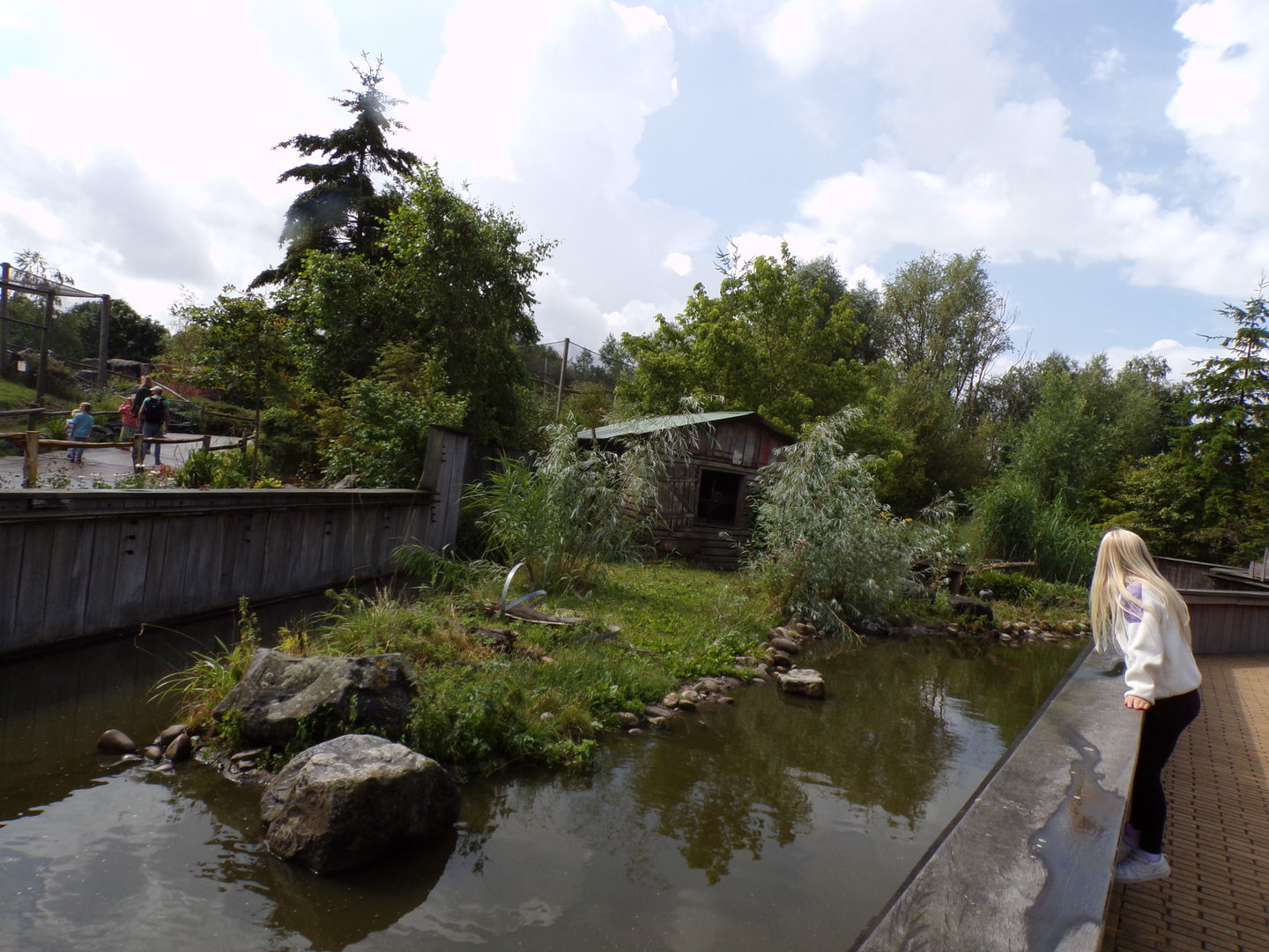 North America- Raccoon enclosure 13.7.23