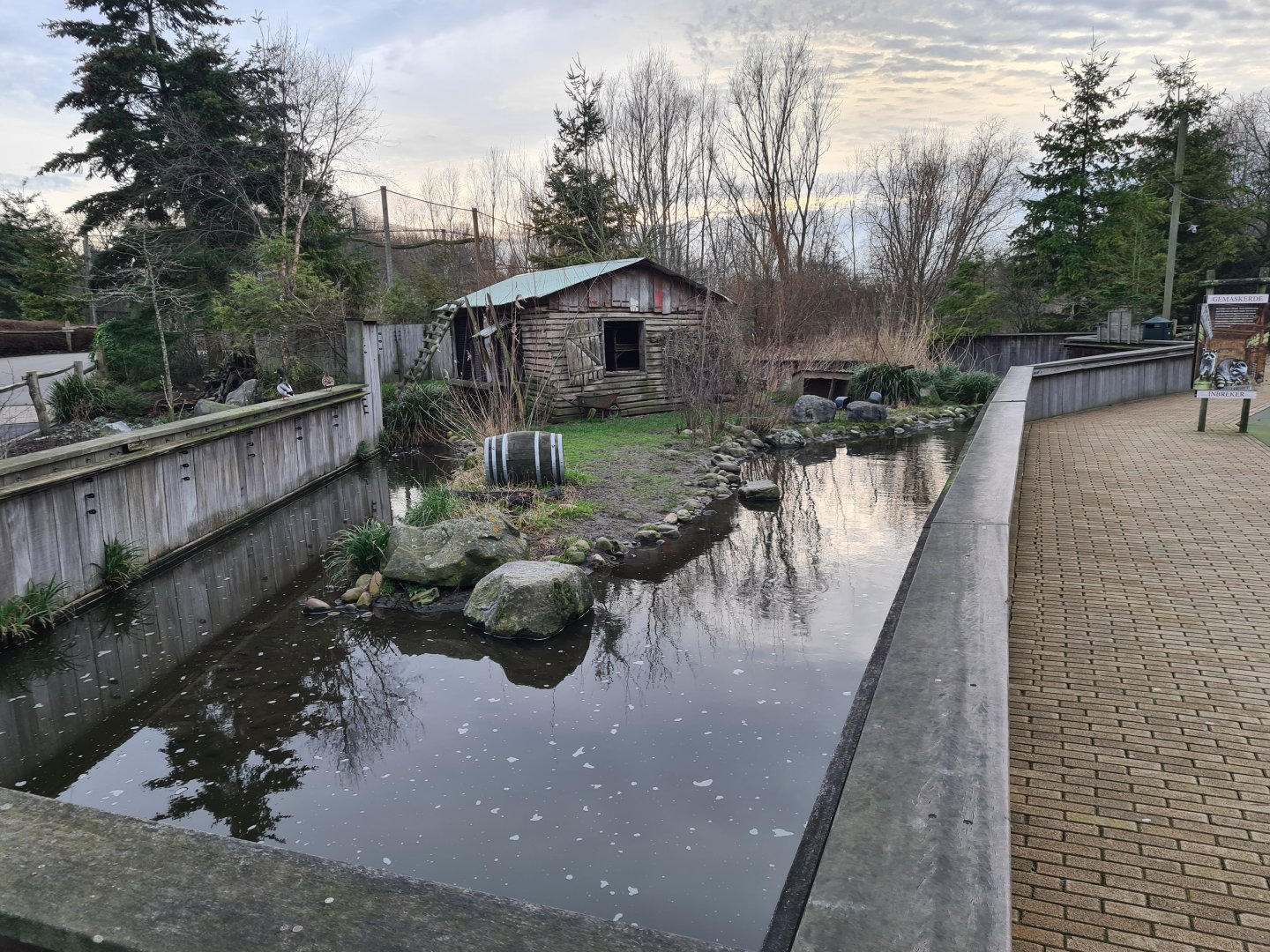 North America - Raccoon enclosure