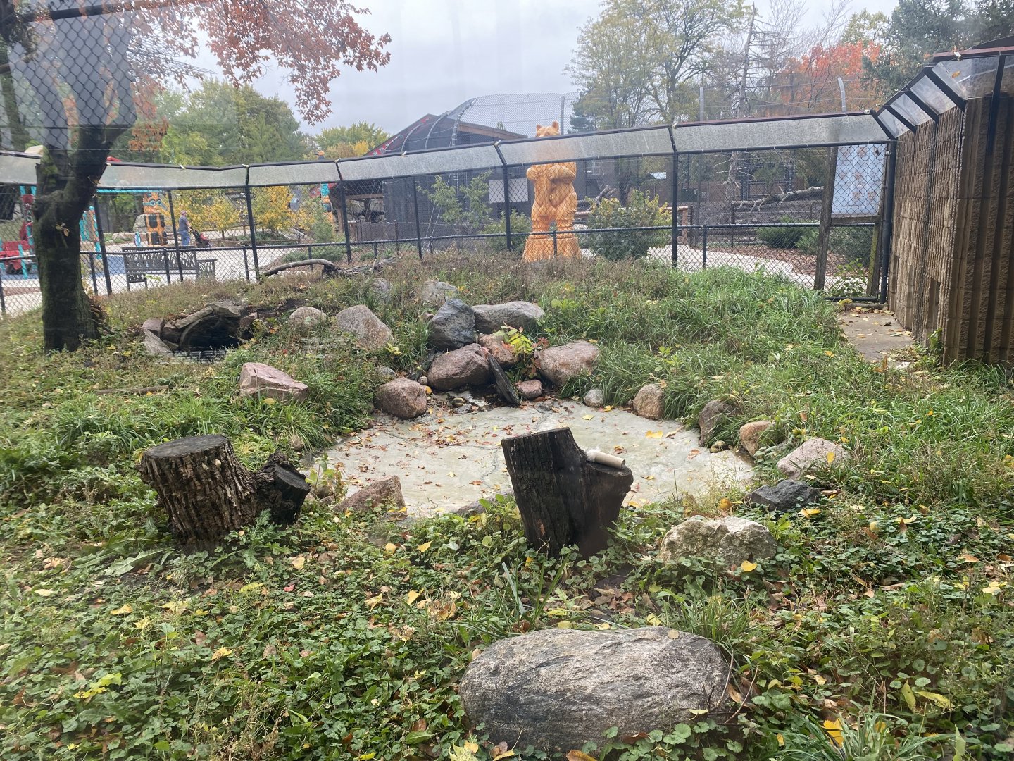 North America- Red Fox Exhibit