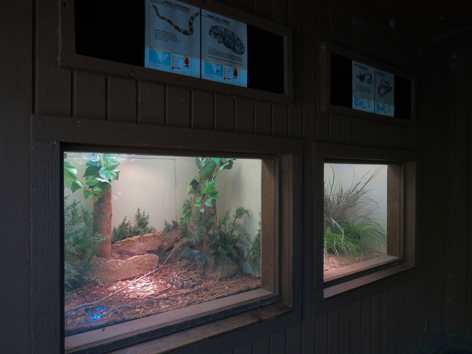 North America - Reptile Exhibits