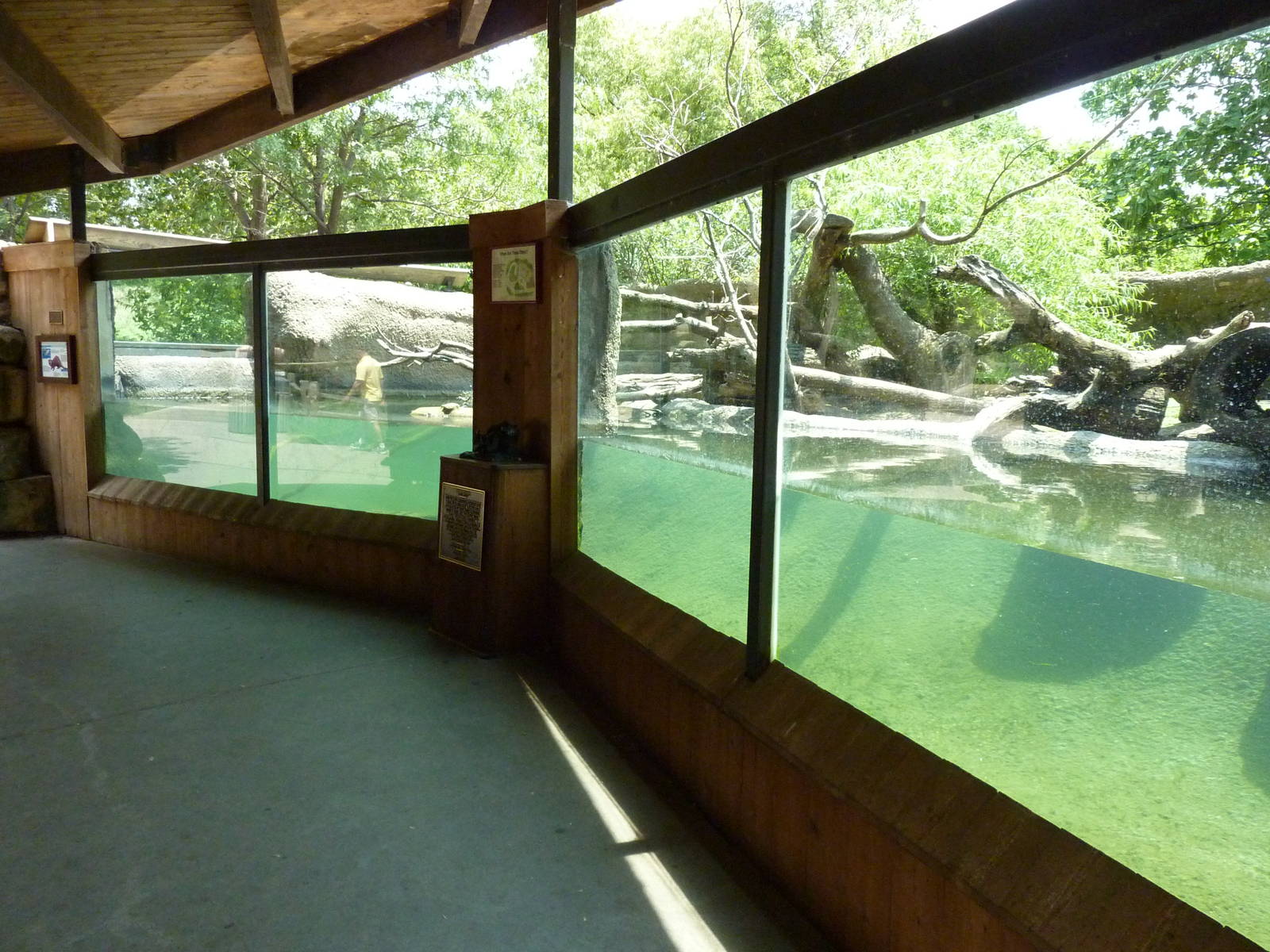 North America - River Otter Exhibit