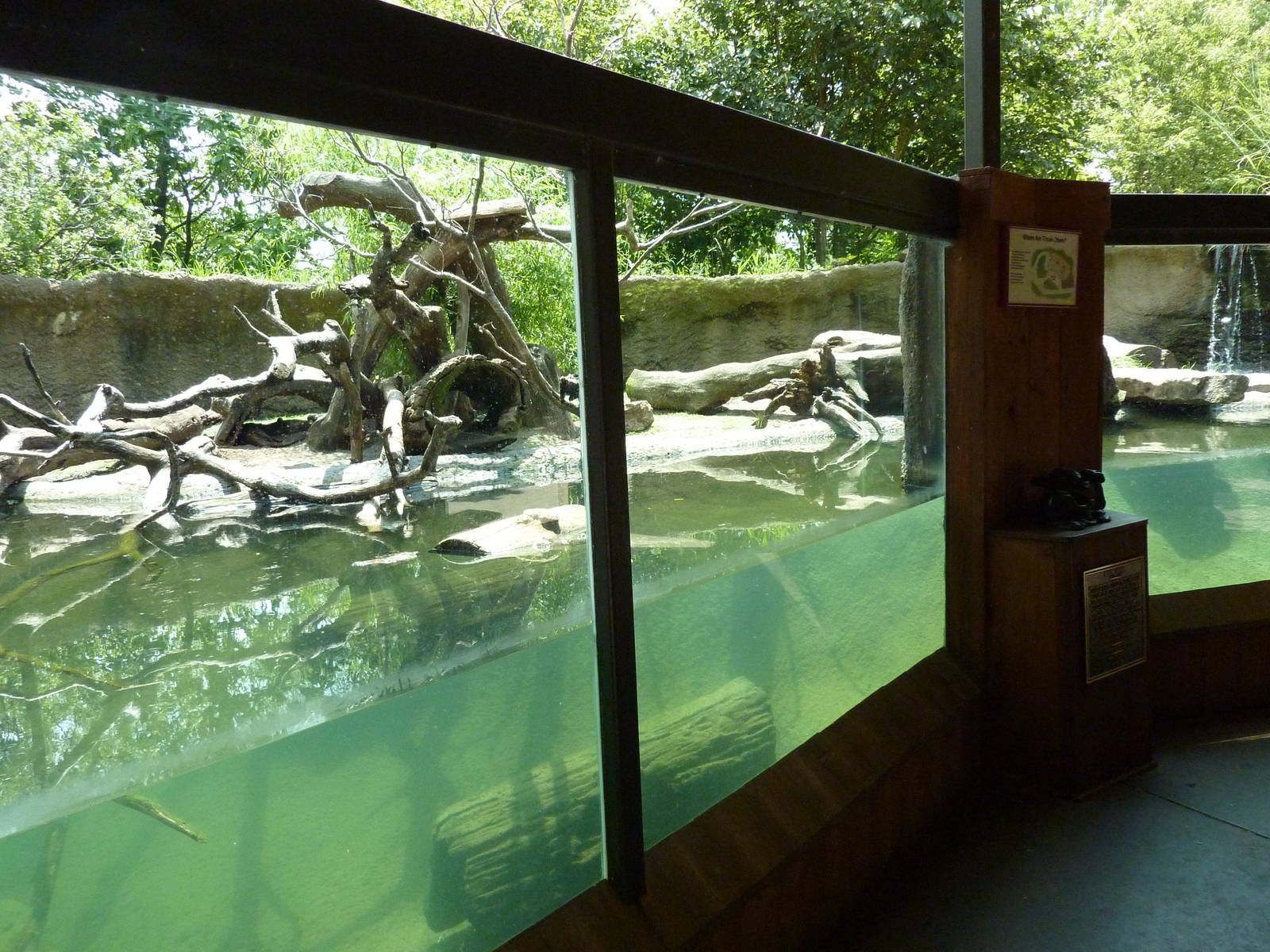 North America - River Otter Exhibit