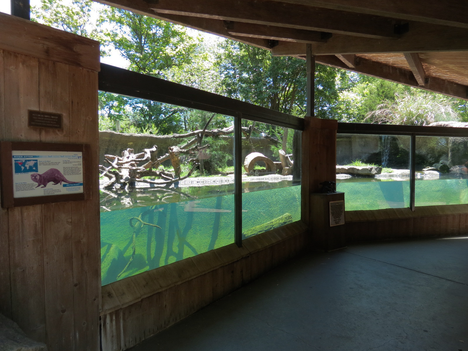 North America - River Otter Exhibit