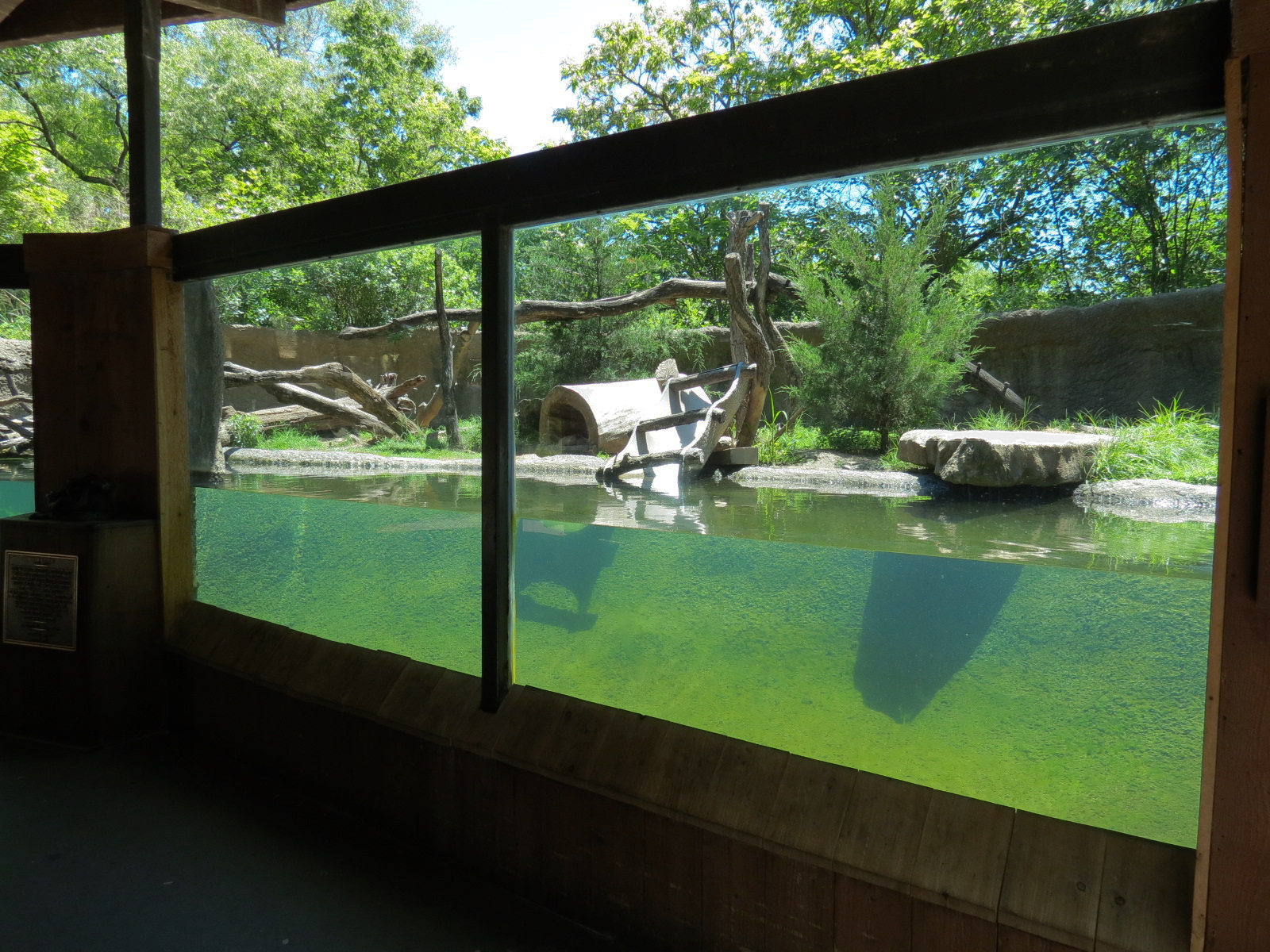 North America - River Otter Exhibit