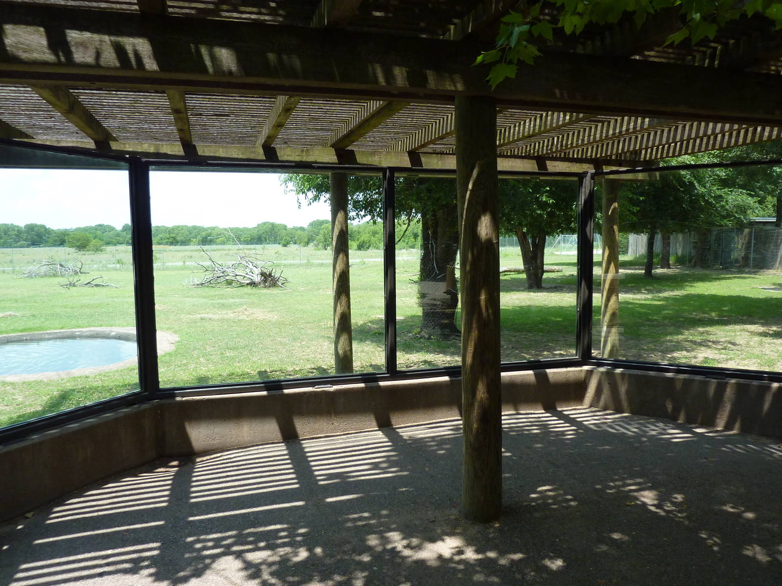 North America - Rocky Mountain Elk Enclosure