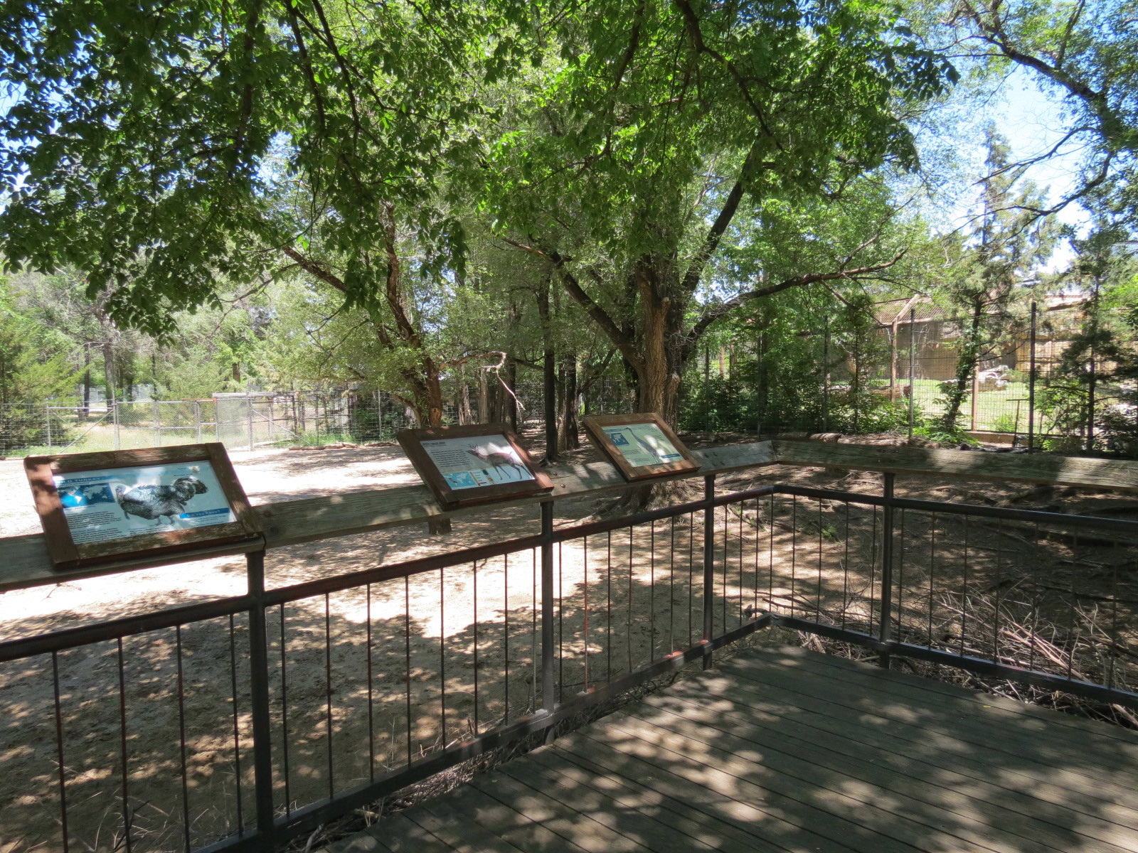 North America - Sandhill Crane, White-tailed Deer, and Wild Turkey Exhibit