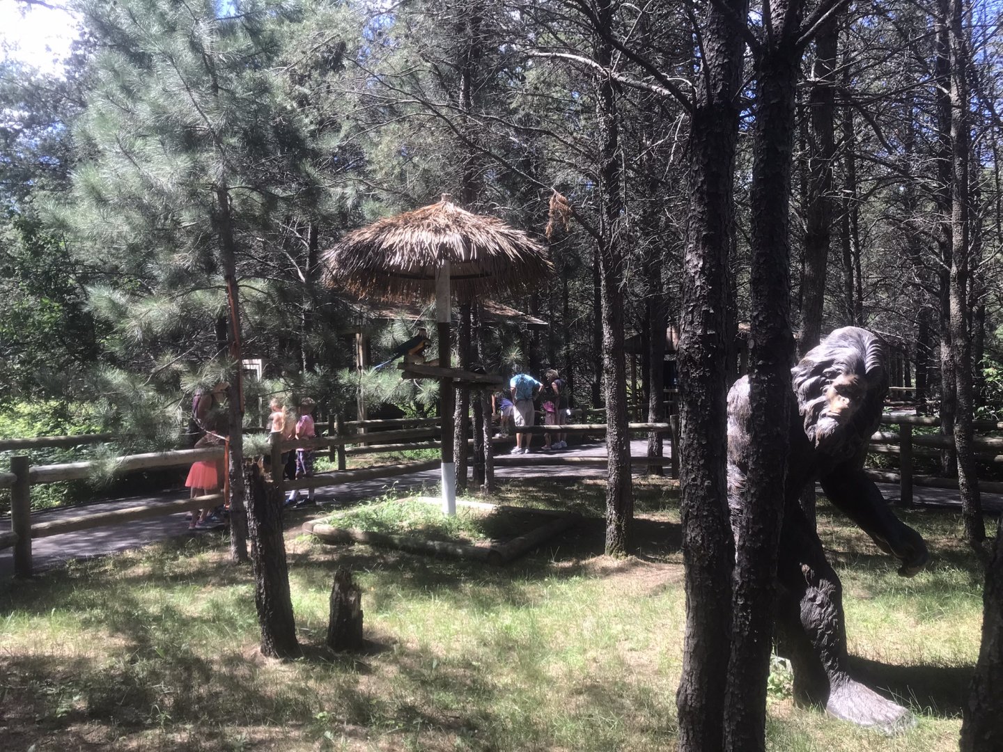 “North America” - Scarlet Macaw and Blue & Gold Macaw Tree