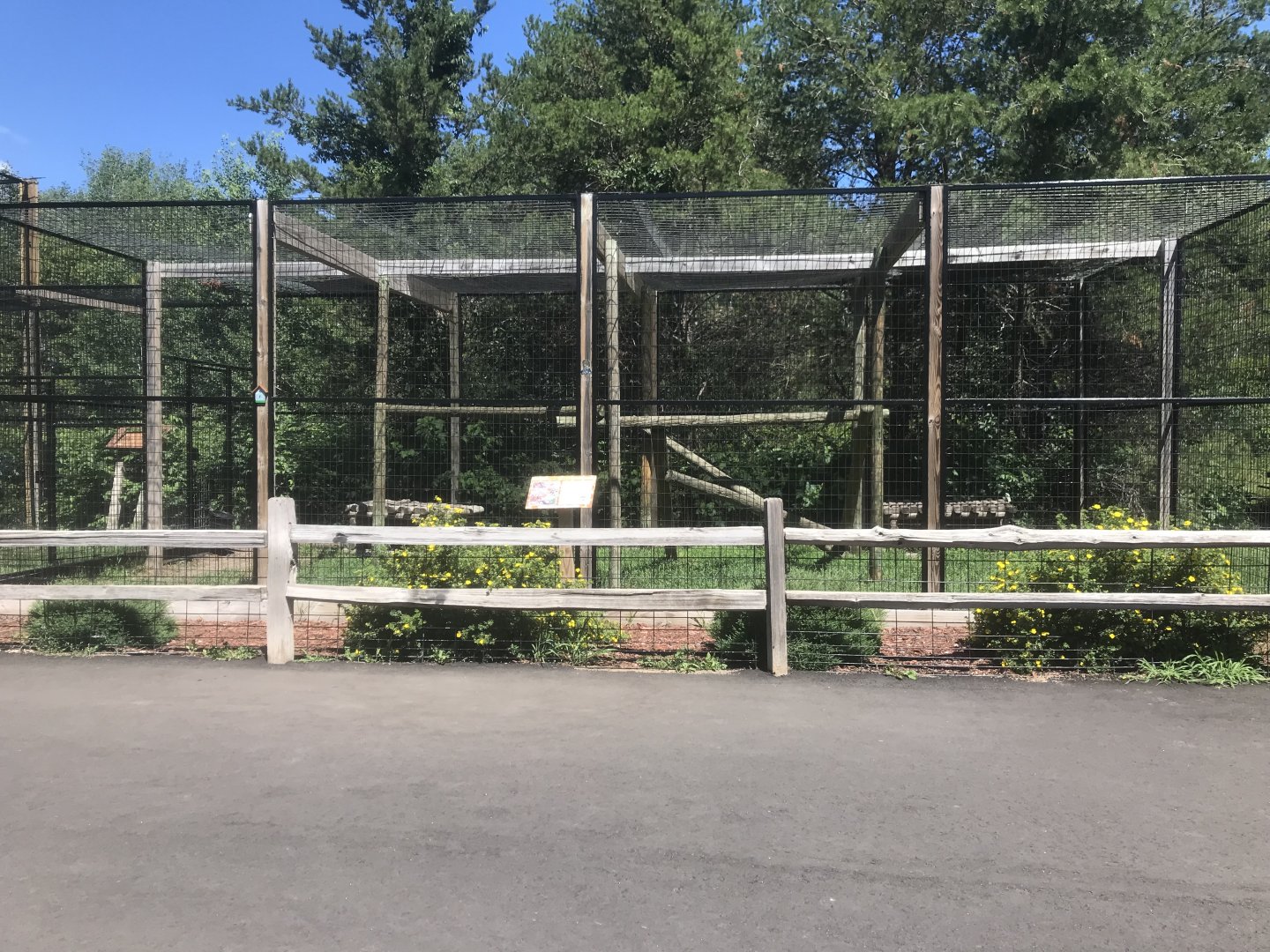 “North America” - Serval Exhibit