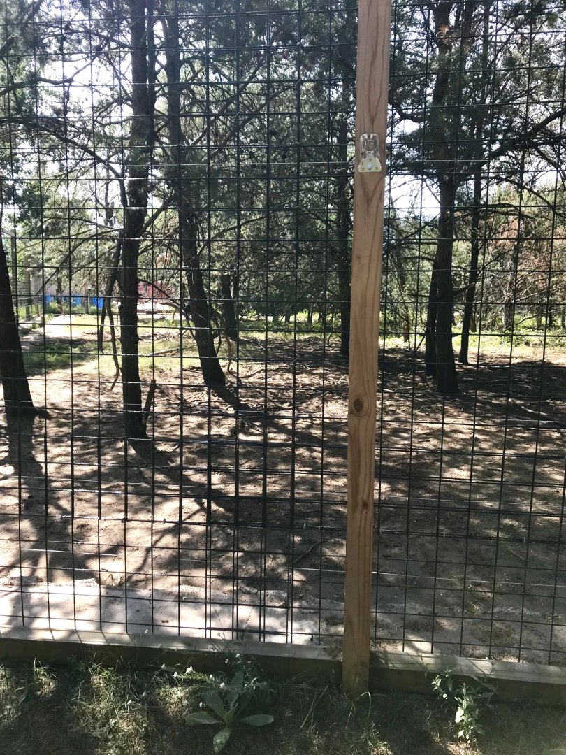 “North America”- sloth bear exhibit