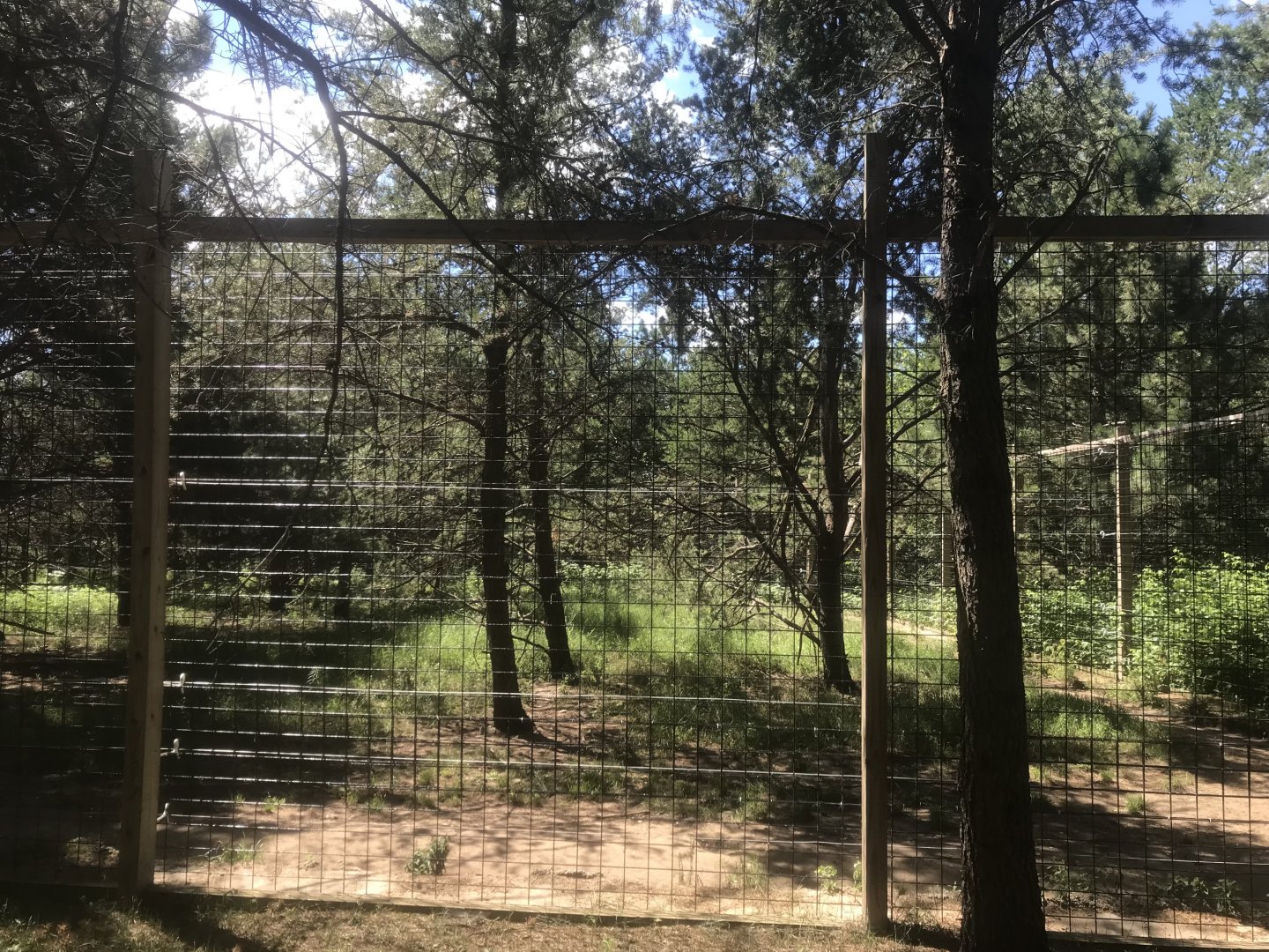 “North America” - Sloth Bear Exhibit
