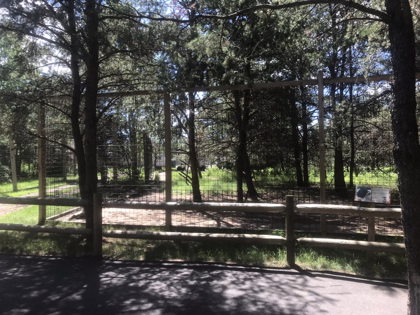 “North America” - Sloth Bear Exhibit