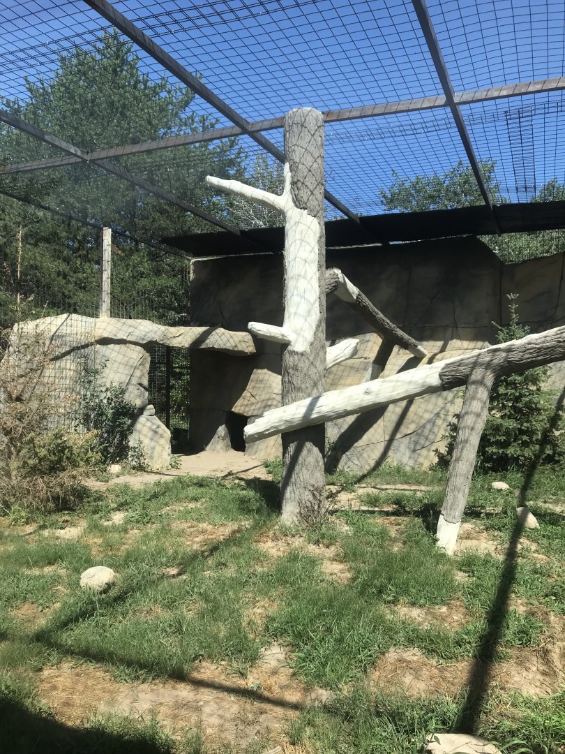 “North America”- snow leopard exhibit