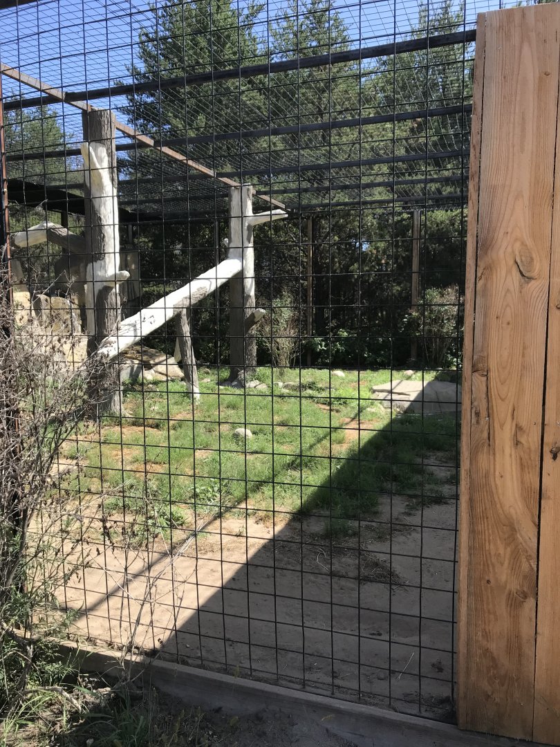 “North America”- snow leopard exhibit