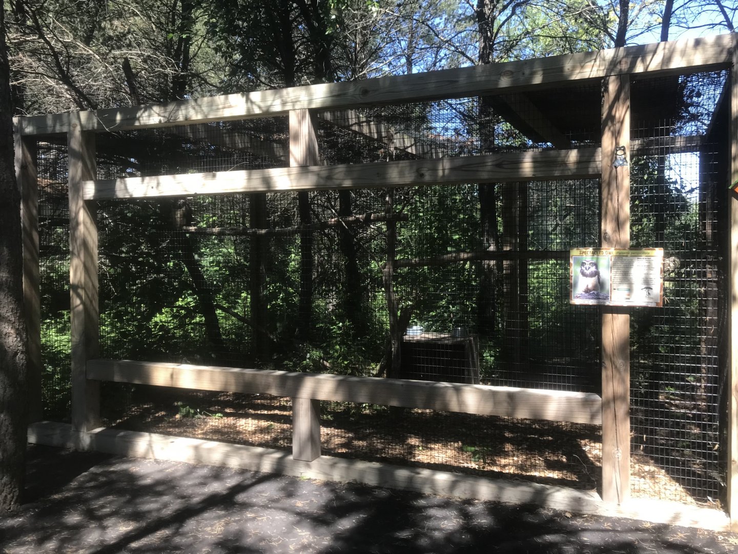 “North America” - Spectacled Owl Exhibit