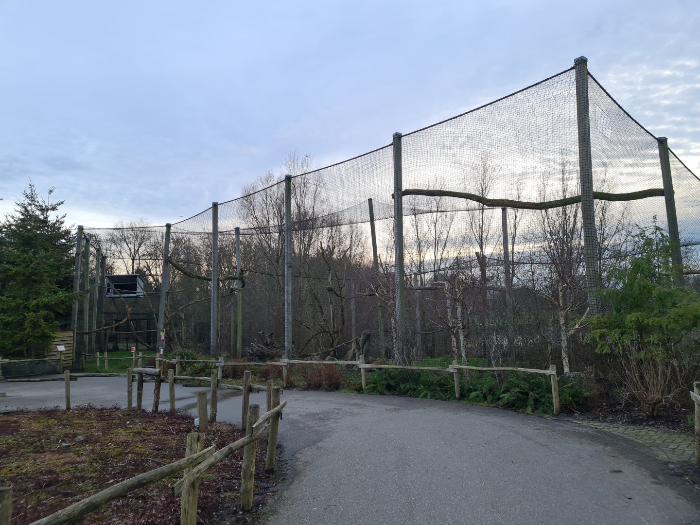 North America - Steller's sea eagle aviary