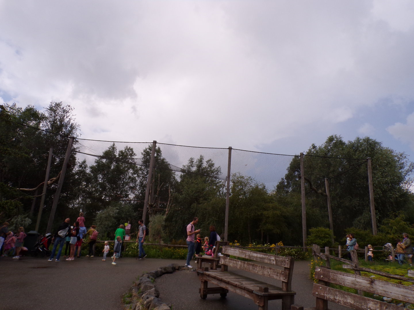 North America- Steller’s sea eagle enclosure 13.7.23
