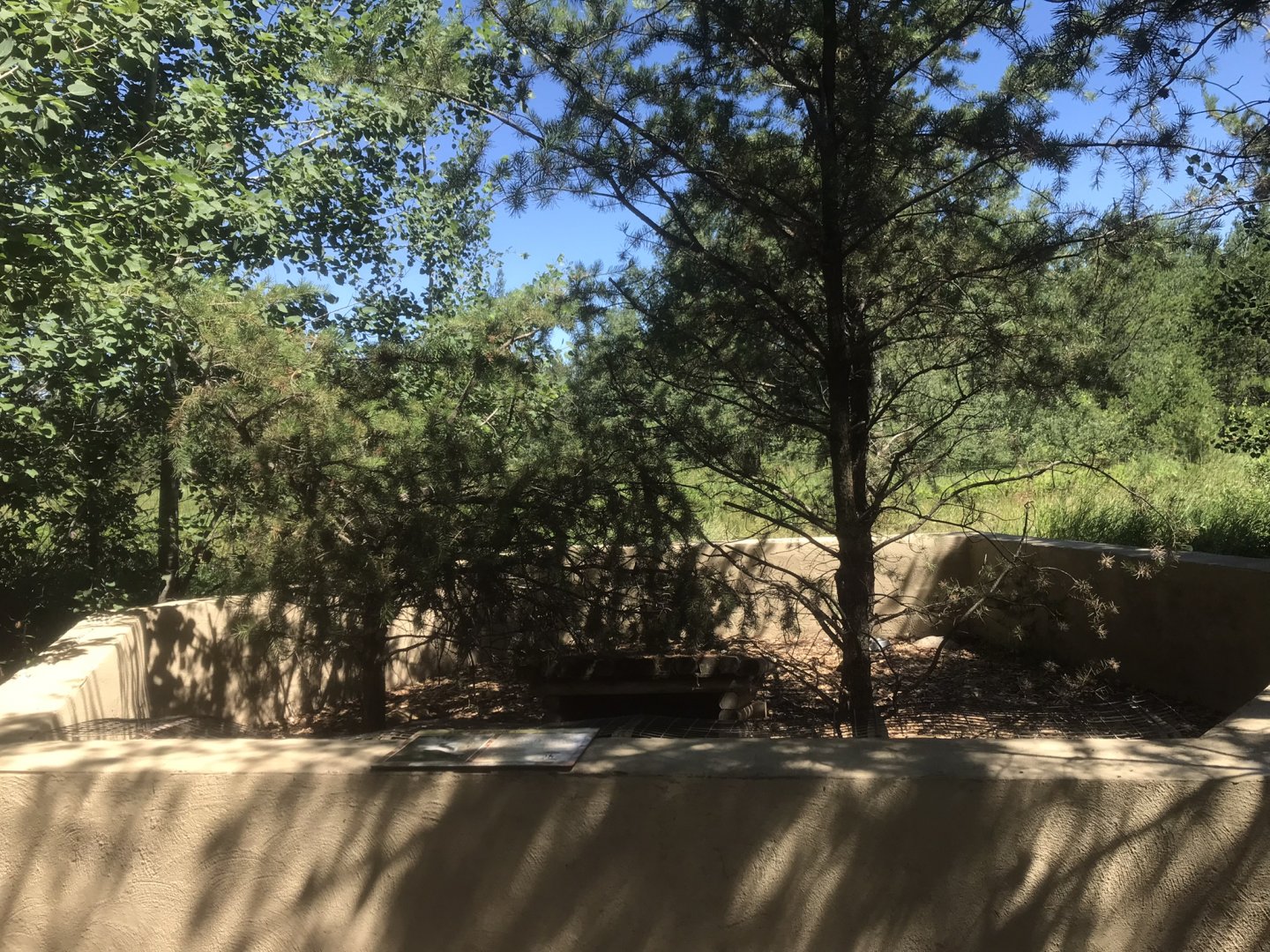 “North America” - Striped Skunk Exhibit