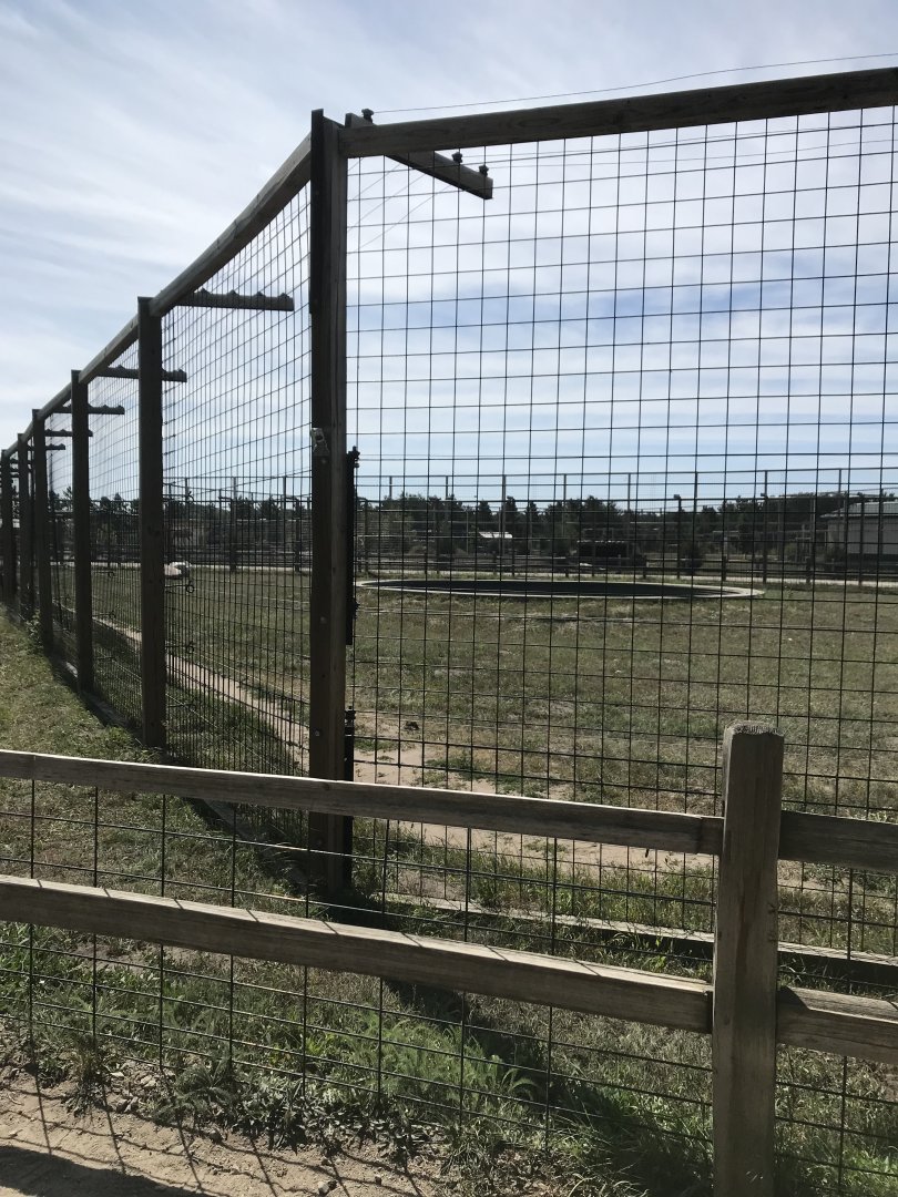 “North America” - Syrian brown bear exhibit