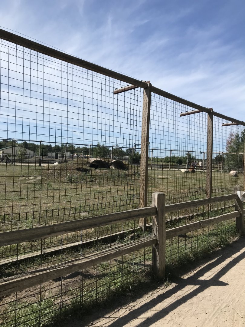 “North America”- Syrian brown bear exhibit
