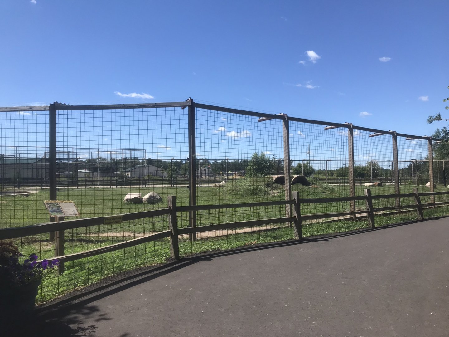 “North America” - Syrian(?) Brown Bear Exhibit