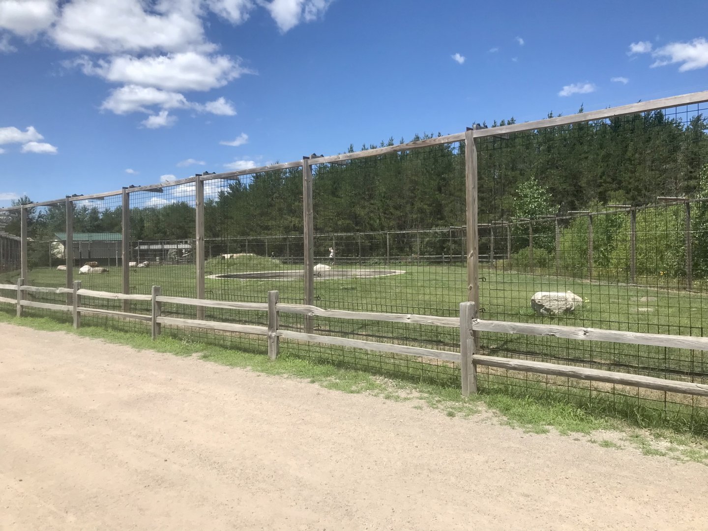 “North America” - Syrian(?) Brown Bear Exhibit