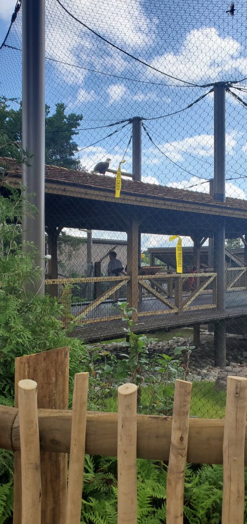 North America Trek: Bald Eagle Bridge