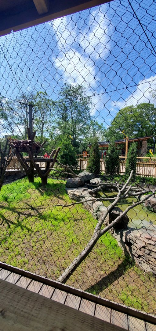 North America Trek: Bald Eagle Exhibit