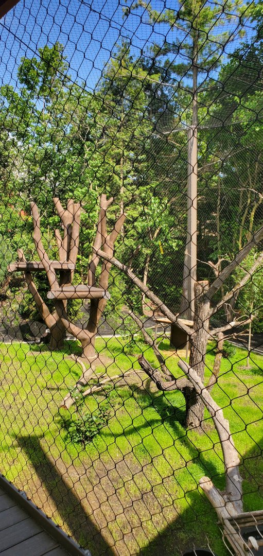 North America Trek: Bald Eagle Exhibit