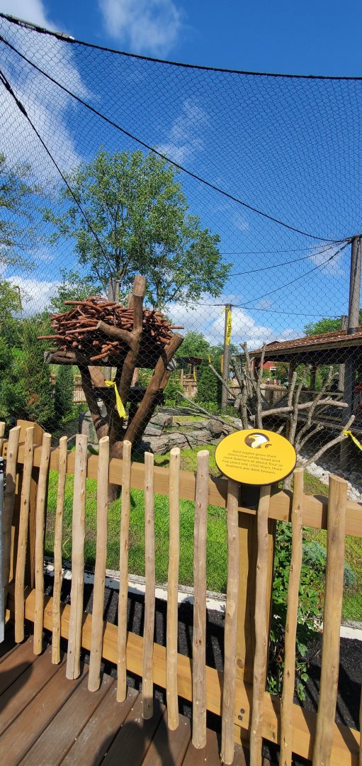 North America Trek: Bald Eagle Exhibit