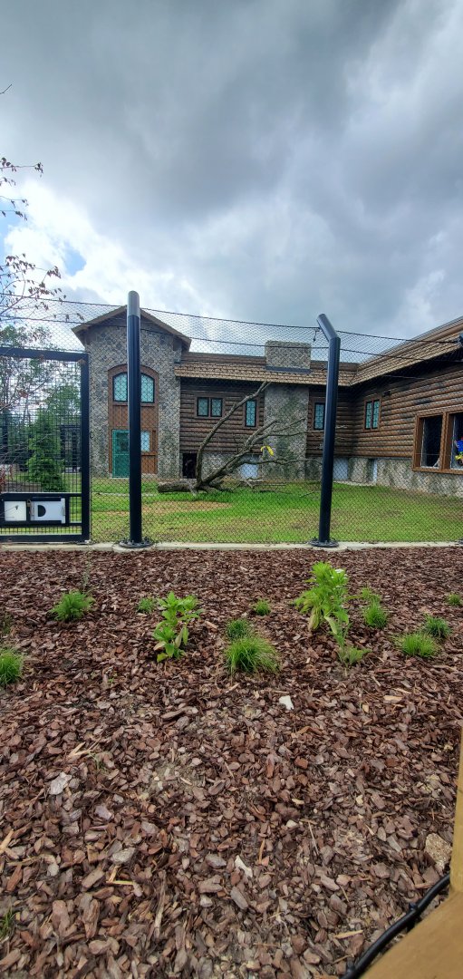 North America Trek: Bear Holding Building