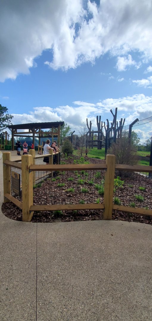 North America Trek: Black Bear Exhibit