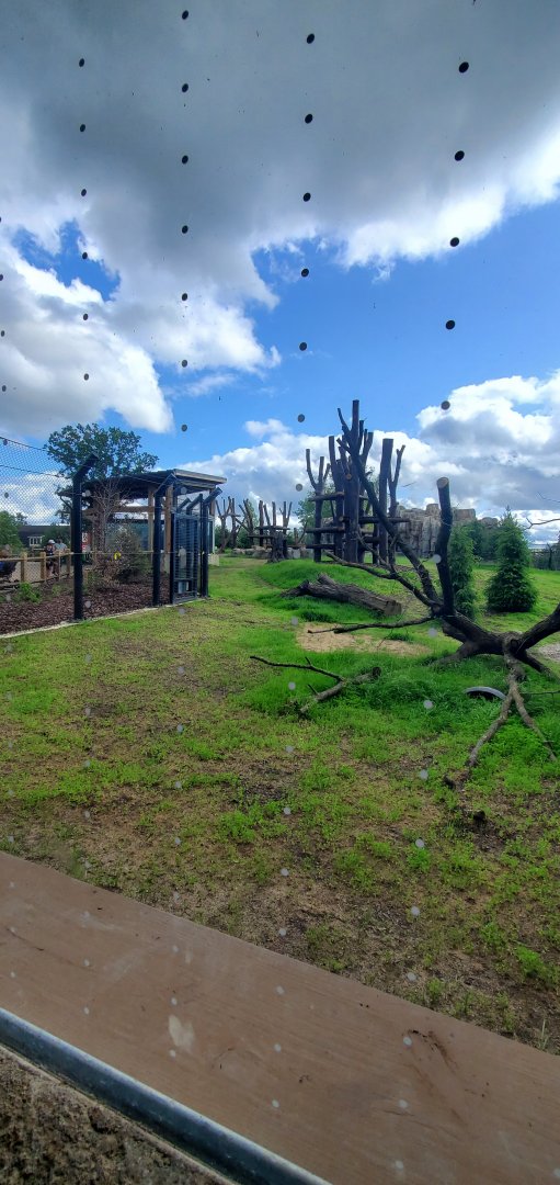 North America Trek: Black Bear Exhibit