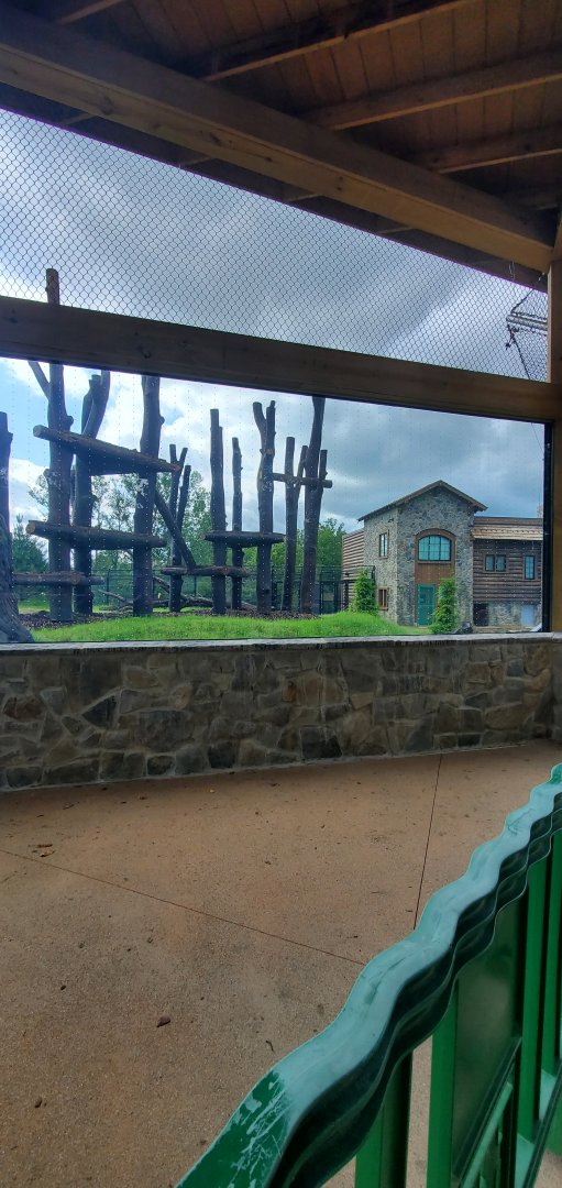 North America Trek: Black Bear Viewing