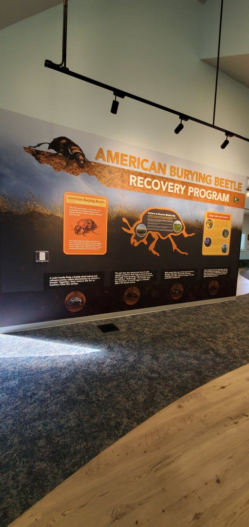 North America Trek: Burying Beetle Signage