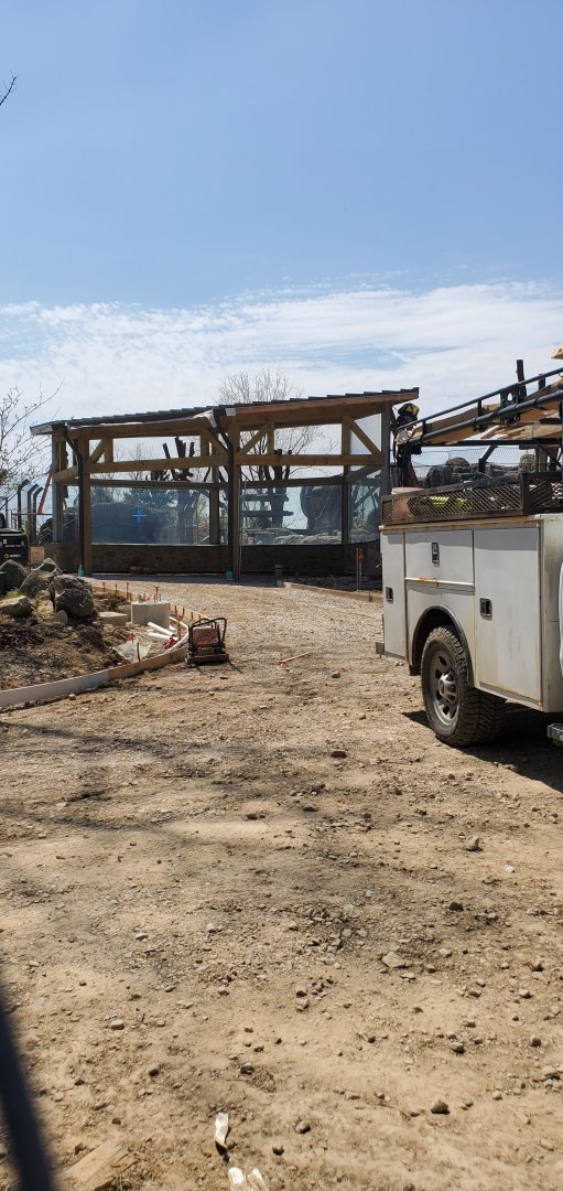 North America Trek Construction: Black Bear