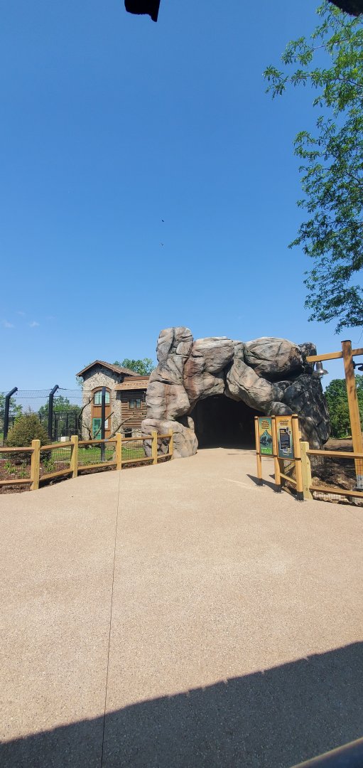 North America Trek Construction: Indoor Bear Viewing (Early June 2025)