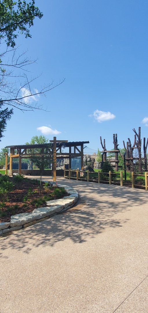 North America Trek Construction: Main Bear viewing (Early June 2025)