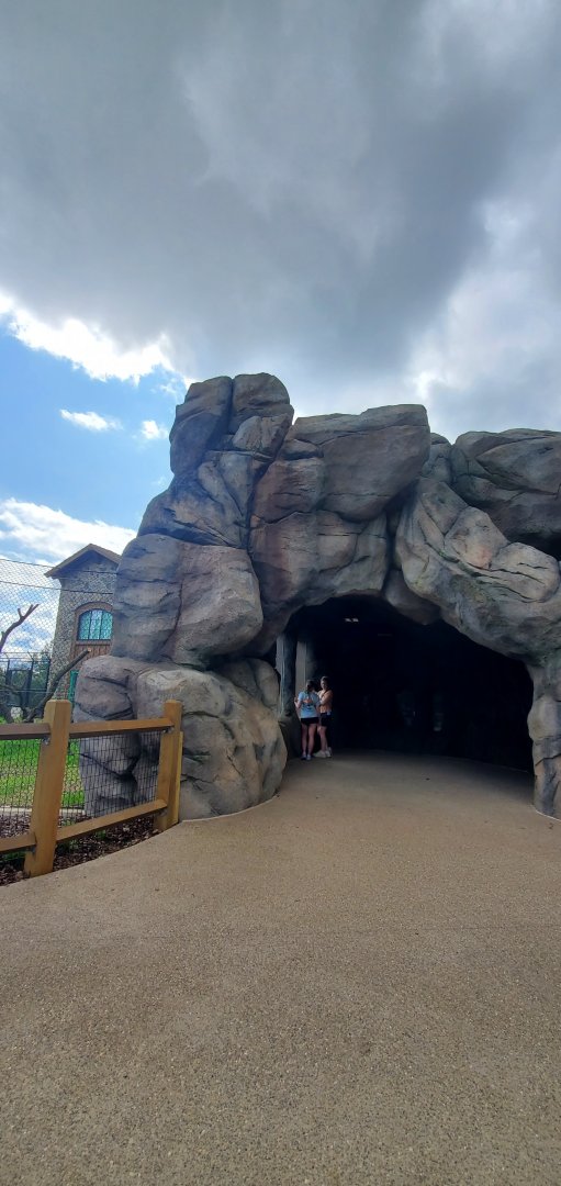 North America Trek: Indoor Bear Viewing