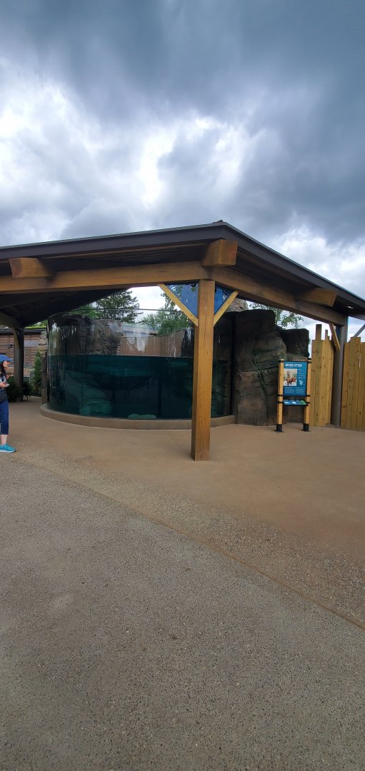 North America Trek: Otter Underwater viewing