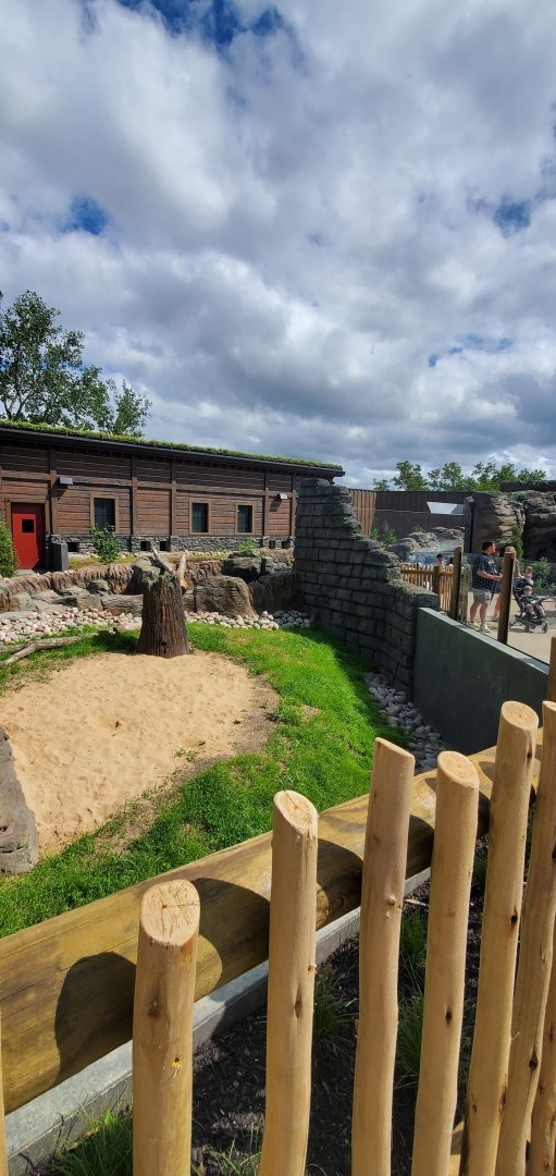 North America Trek: Otter Viewing