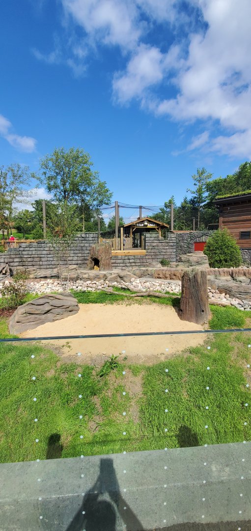 North America Trek: Otter Viewing