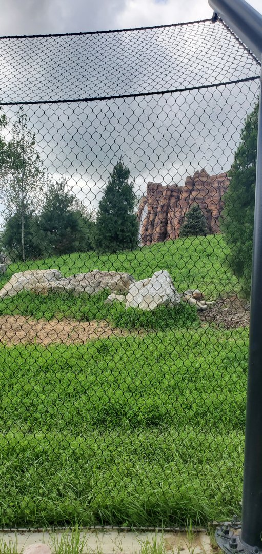 North America Trek: Wolf Exhibit