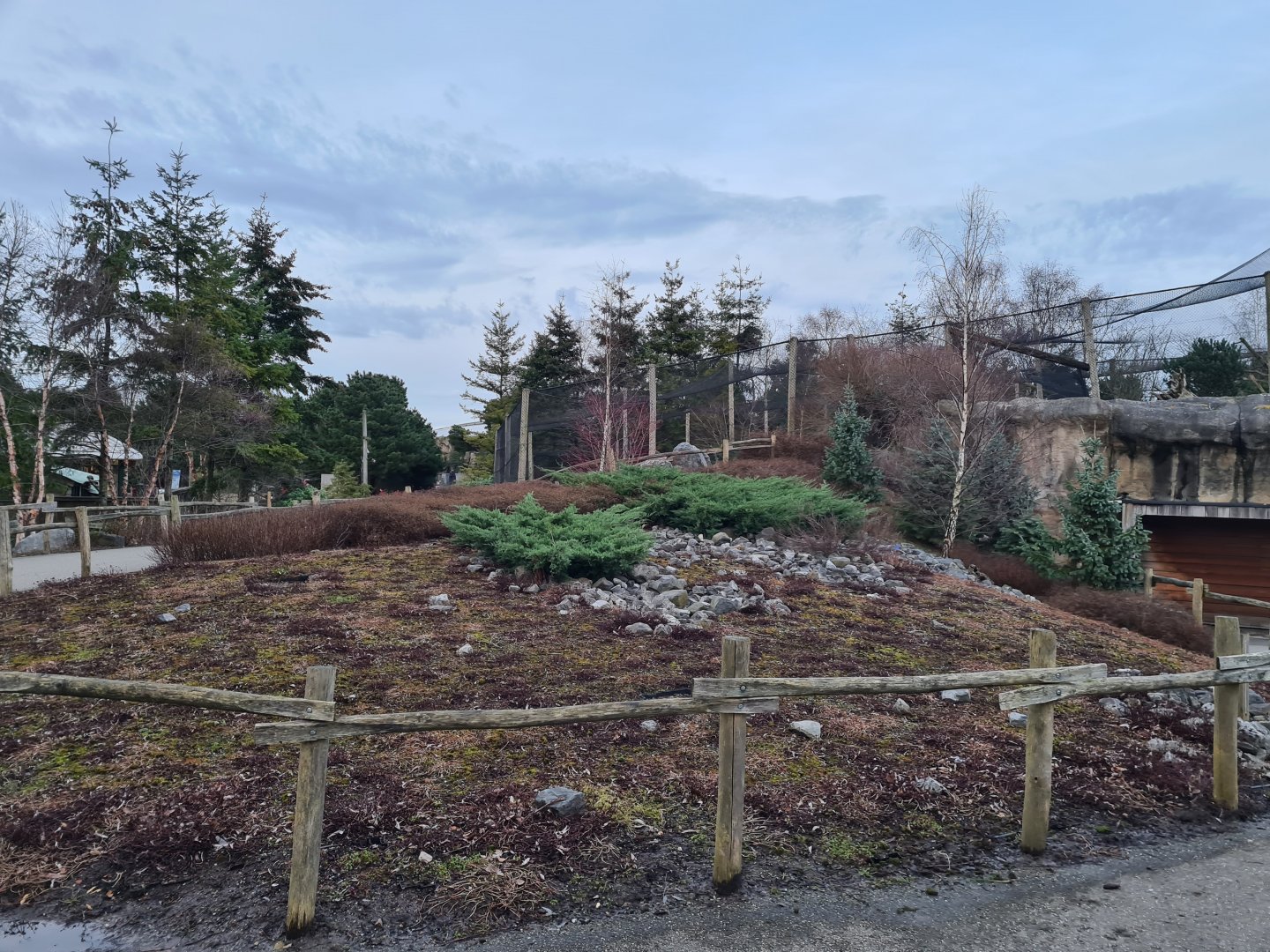 North America - Tundra environment