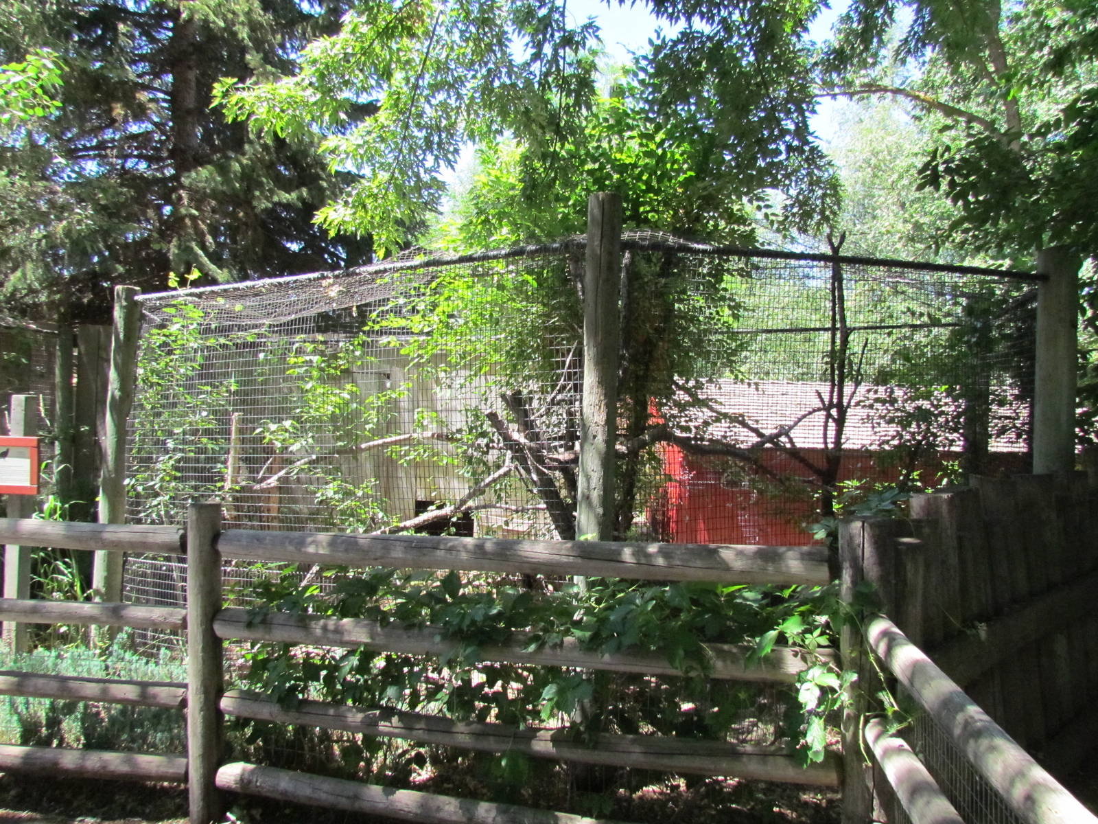 North America - Turkey Vulture Exhibit