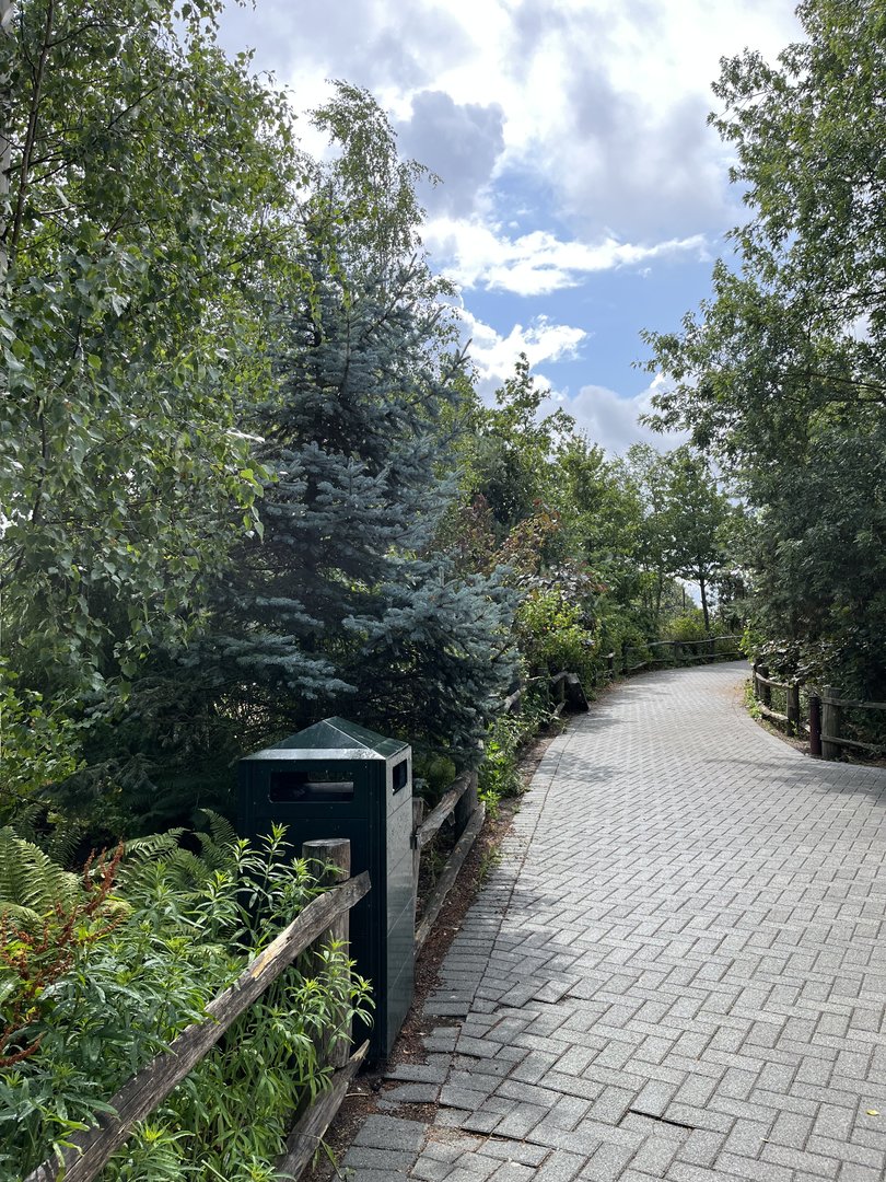 North America- view going towards Bison 13.7.23