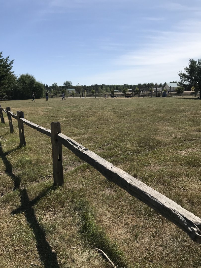 “North America”-  walk-thru white-tailed deer exhibit