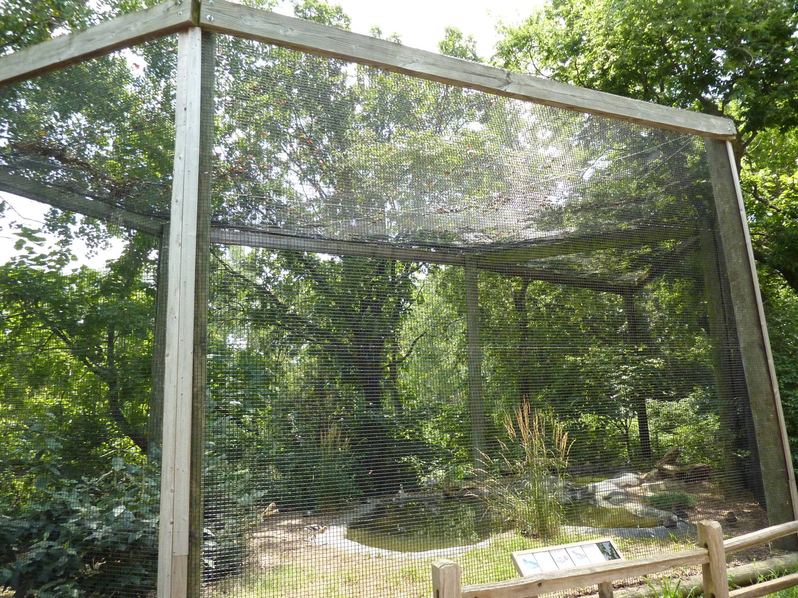 North America - Waterfowl Exhibit