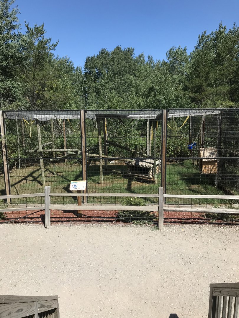 “North America”- white-handed gibbon exhibit